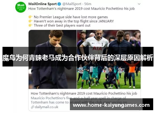 魔鸟为何青睐老马成为合作伙伴背后的深层原因解析